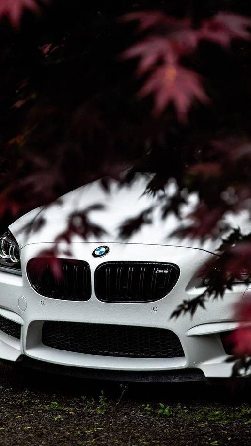 BMW editing