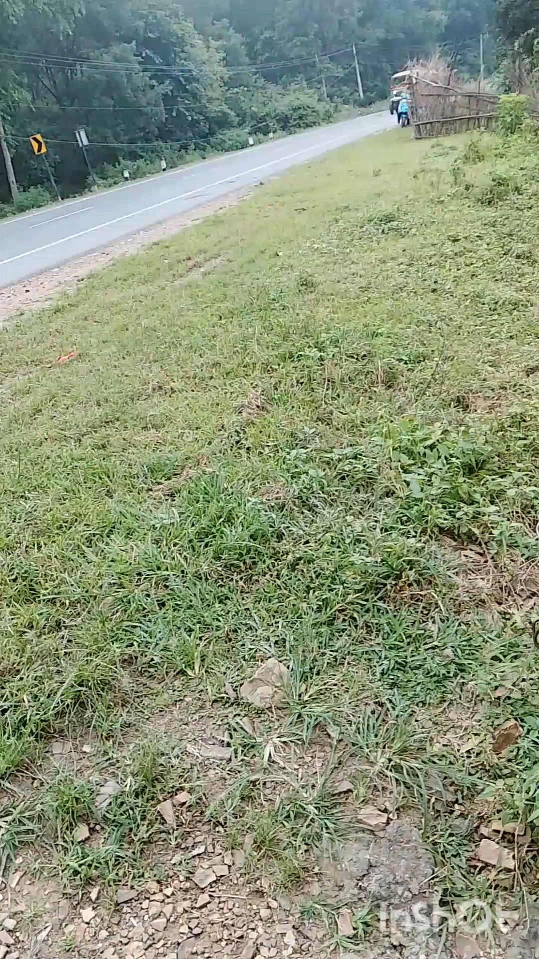 Fast video balu mafiya trektar hai