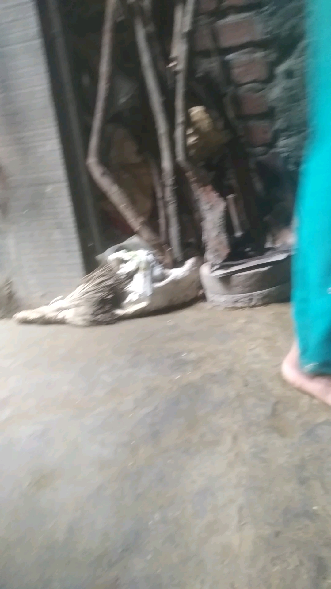 शुभ प्रभात