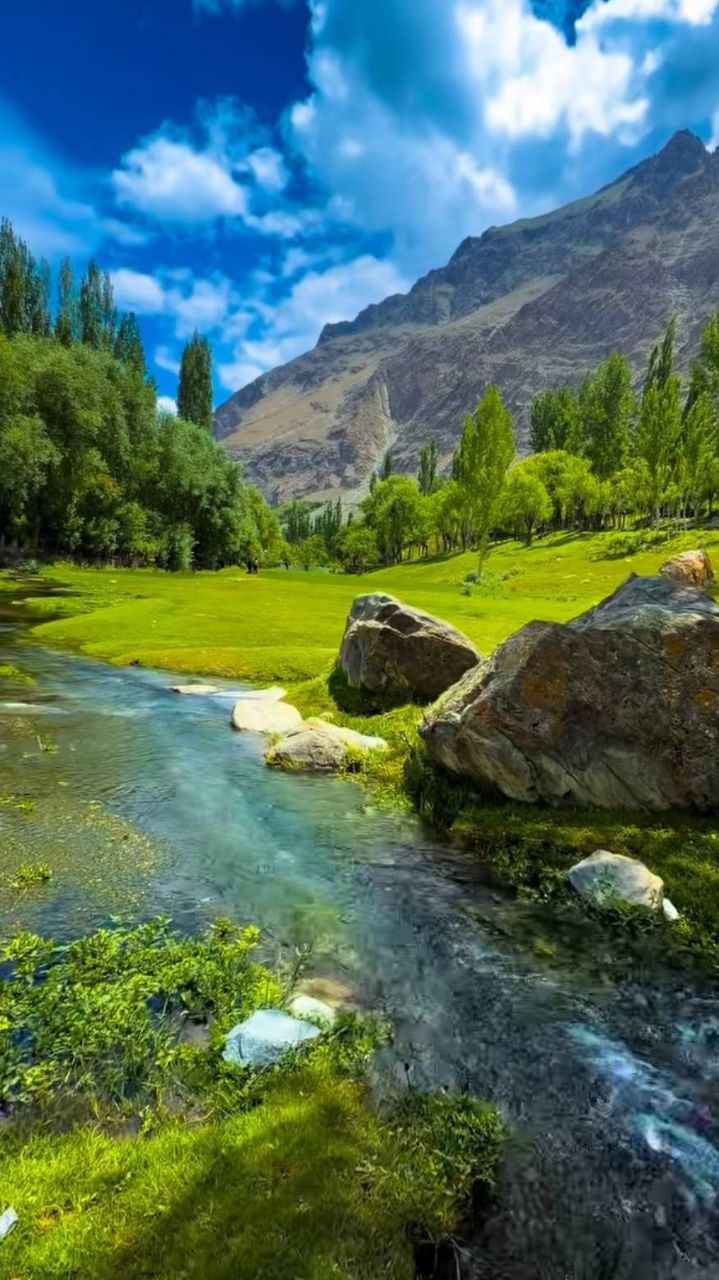 🏔️ Mountains • Nature • Travel
🌿 पहाड़ों की खूबसूरत दुनिया
🎥 पहाड़ी लाइफ • Nature Videos
✨ हर सफर