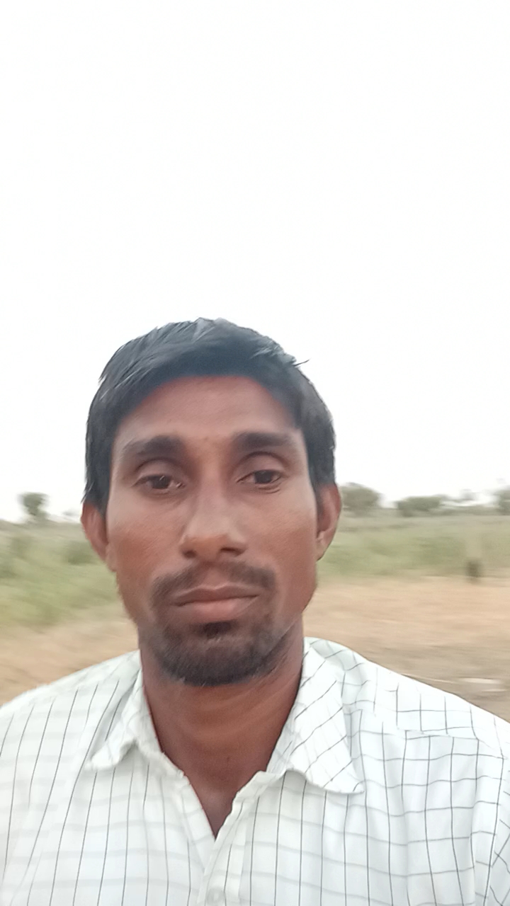 बकरी चराई