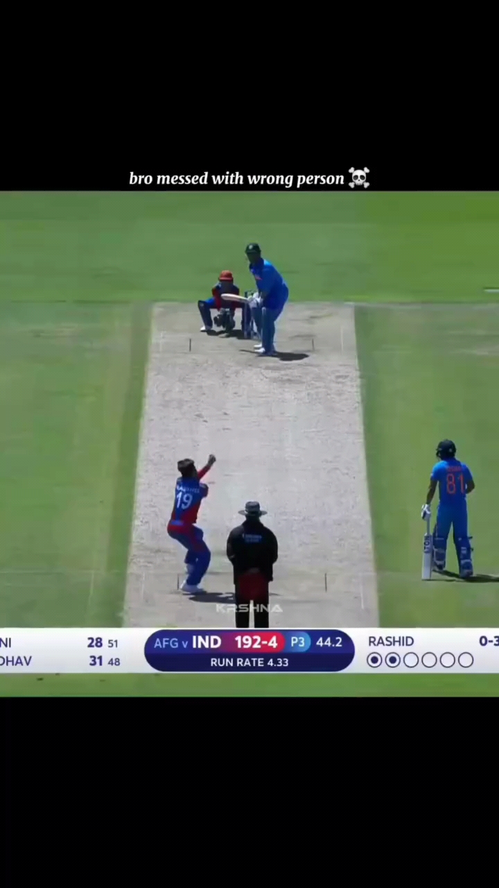 Cricket #cricket