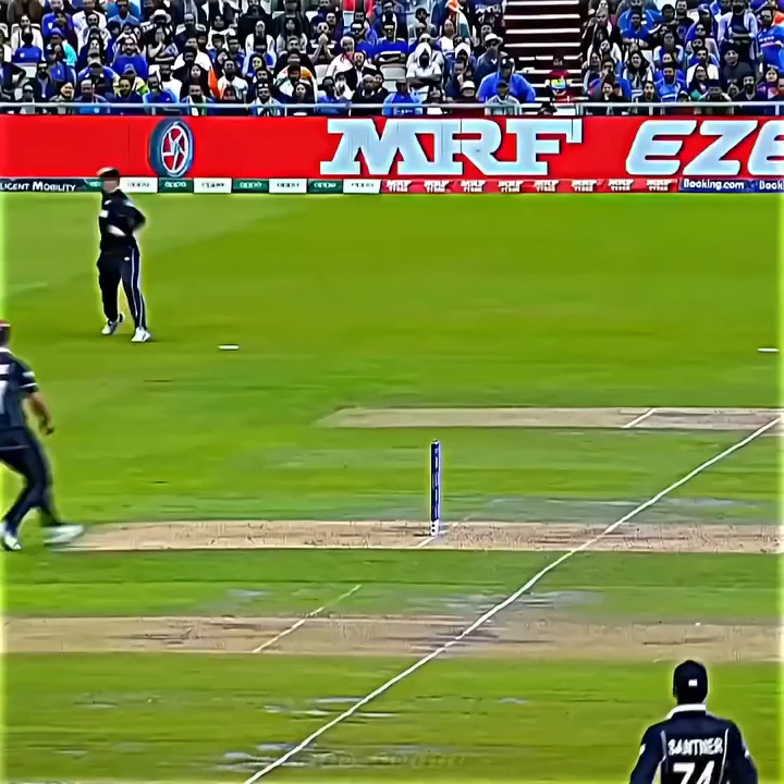 Cricket #cricket