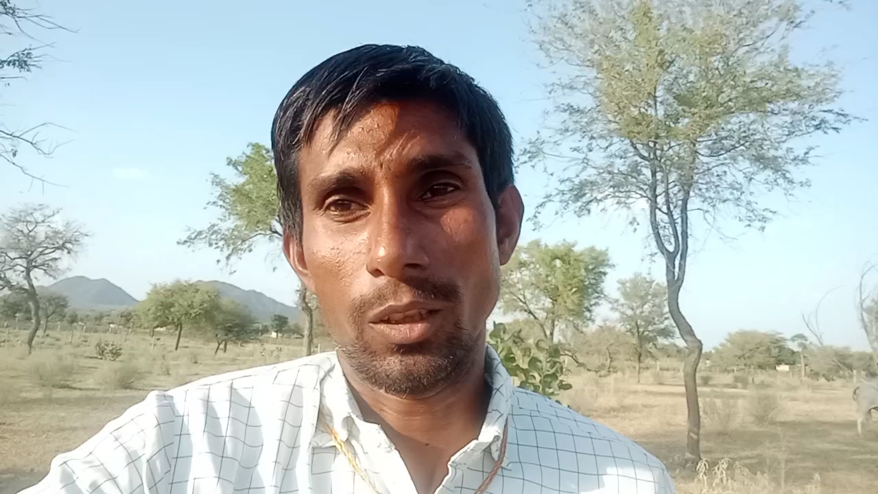 मे गाय सराने गया था आज