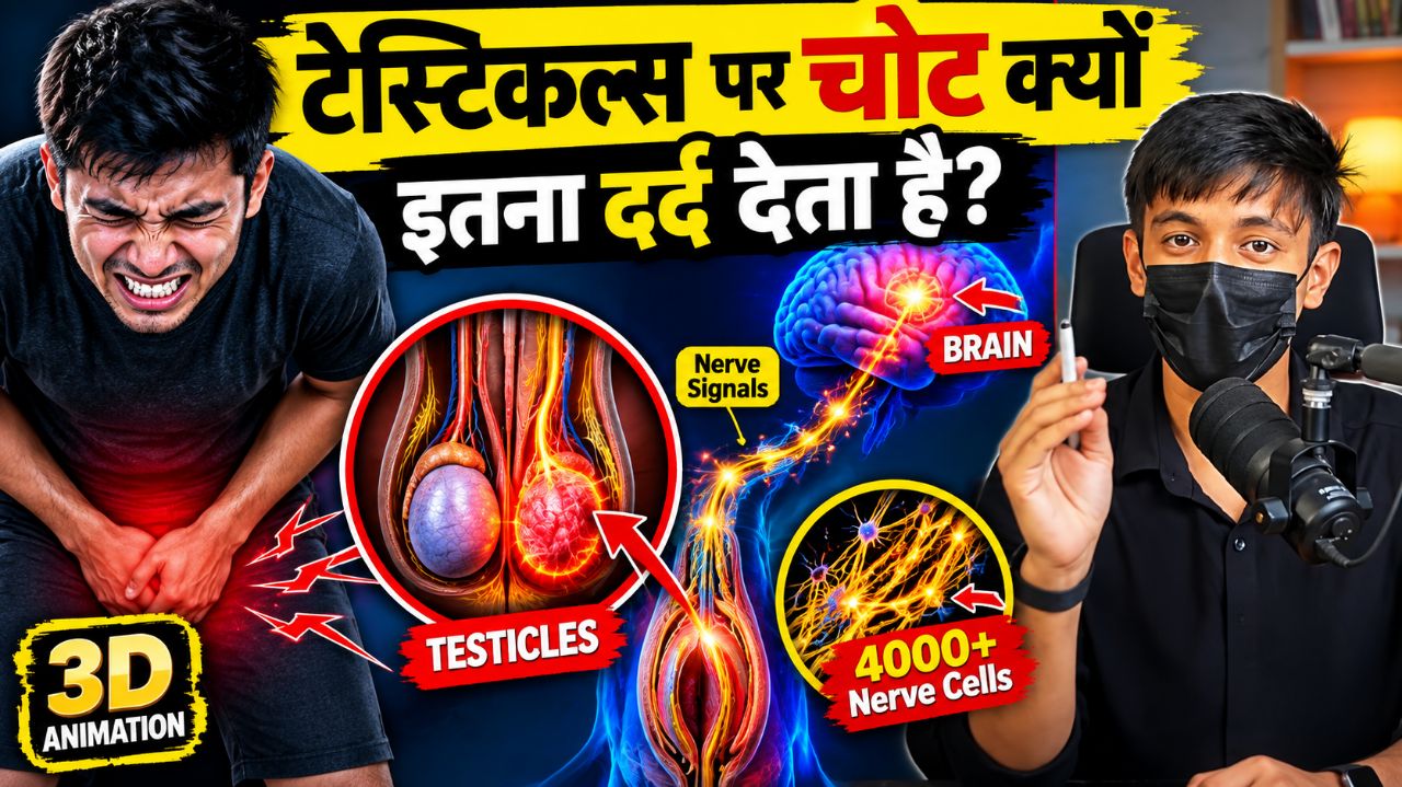 अंडकोष पर चोट लगने पर इतना दर्द क्यों होता है? 99% लोग नहीं जानते