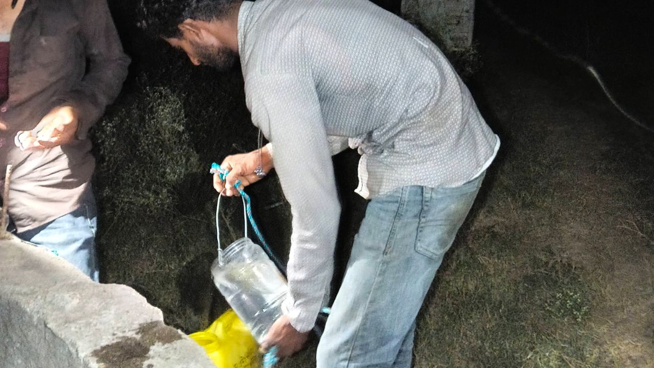 कुश्ती