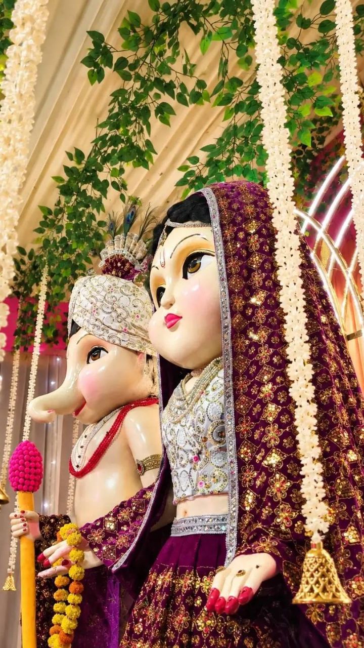 Ganpati visarjan