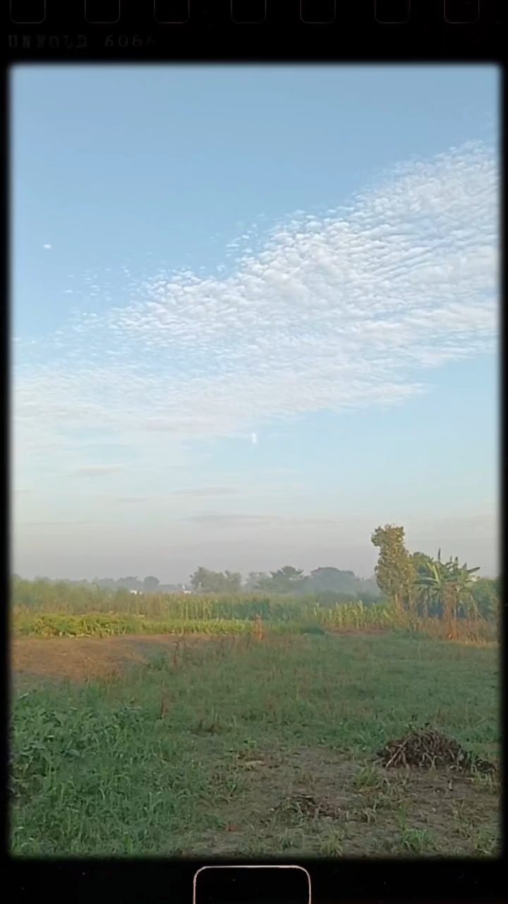Natural and beautiful vibes