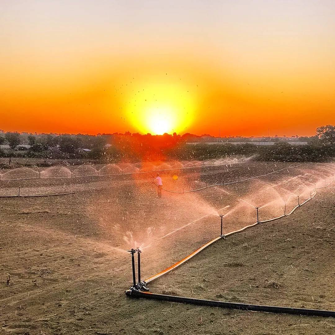 Bishnoi Agriculture on Bideo