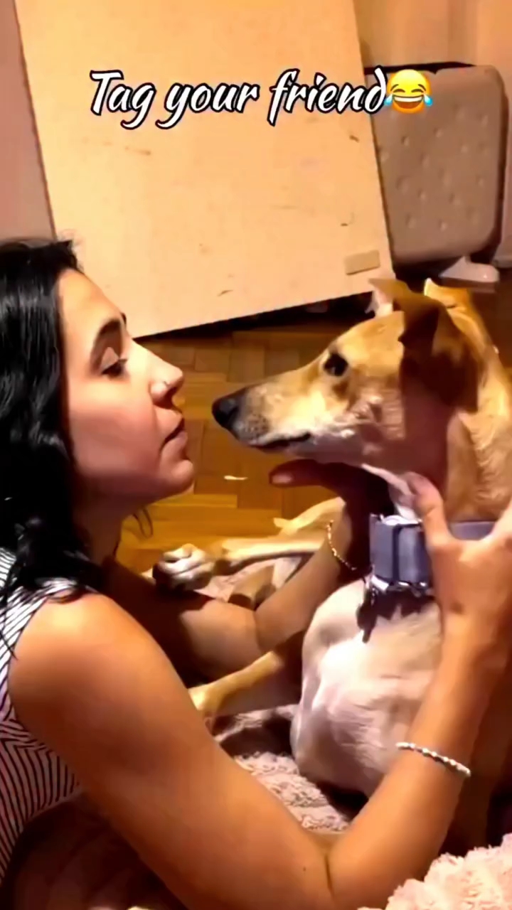 Funny Video
