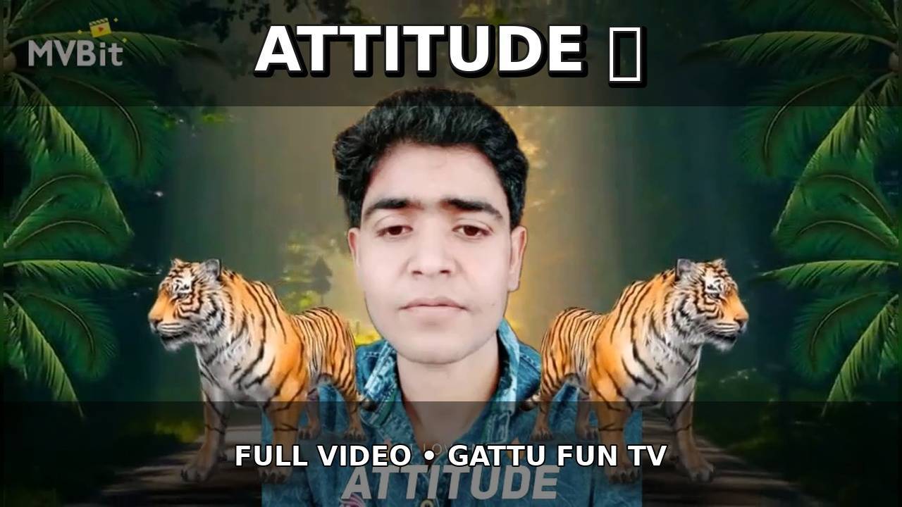 Tiger  attitude