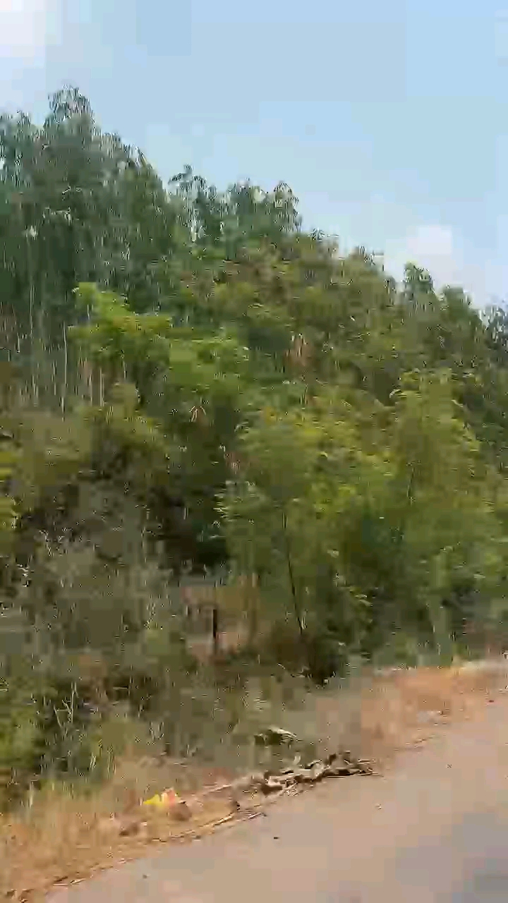 Water park video