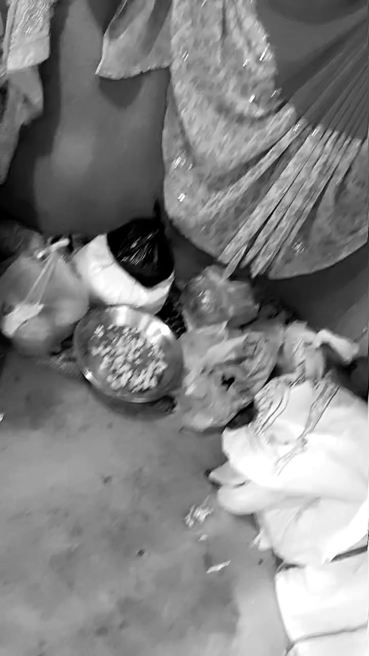 Ganesh visarjan mahol