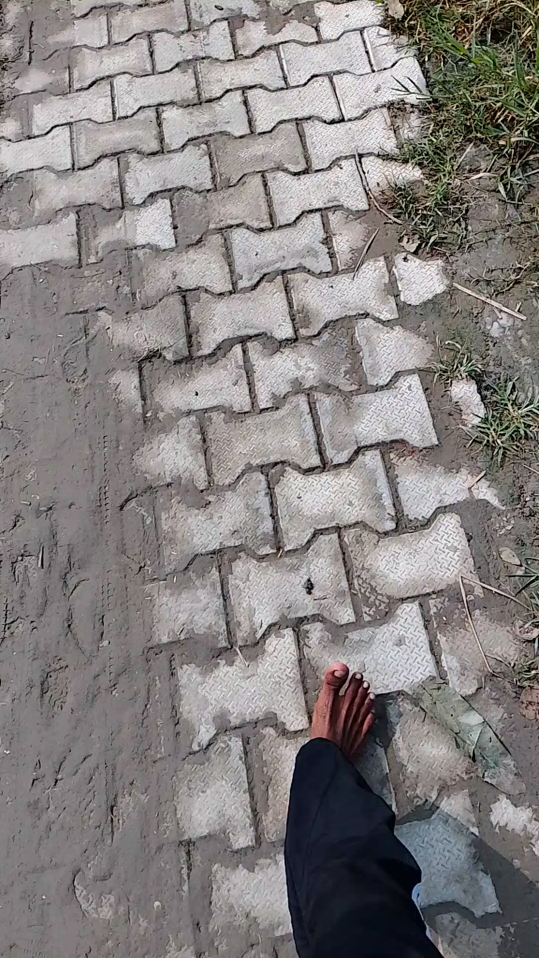 Short video