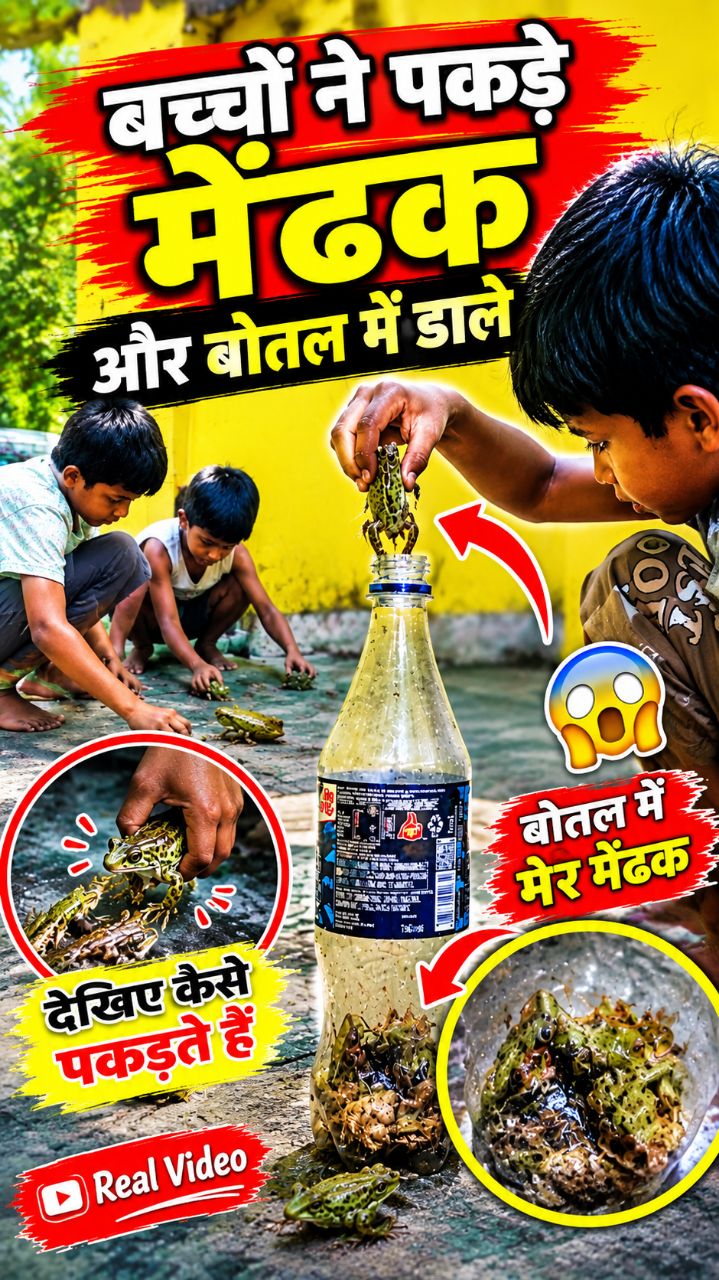 बच्चों ने पकड़े मेंढक 😱 बोतल में डाल दिए | देखिए पूरा वीडियो