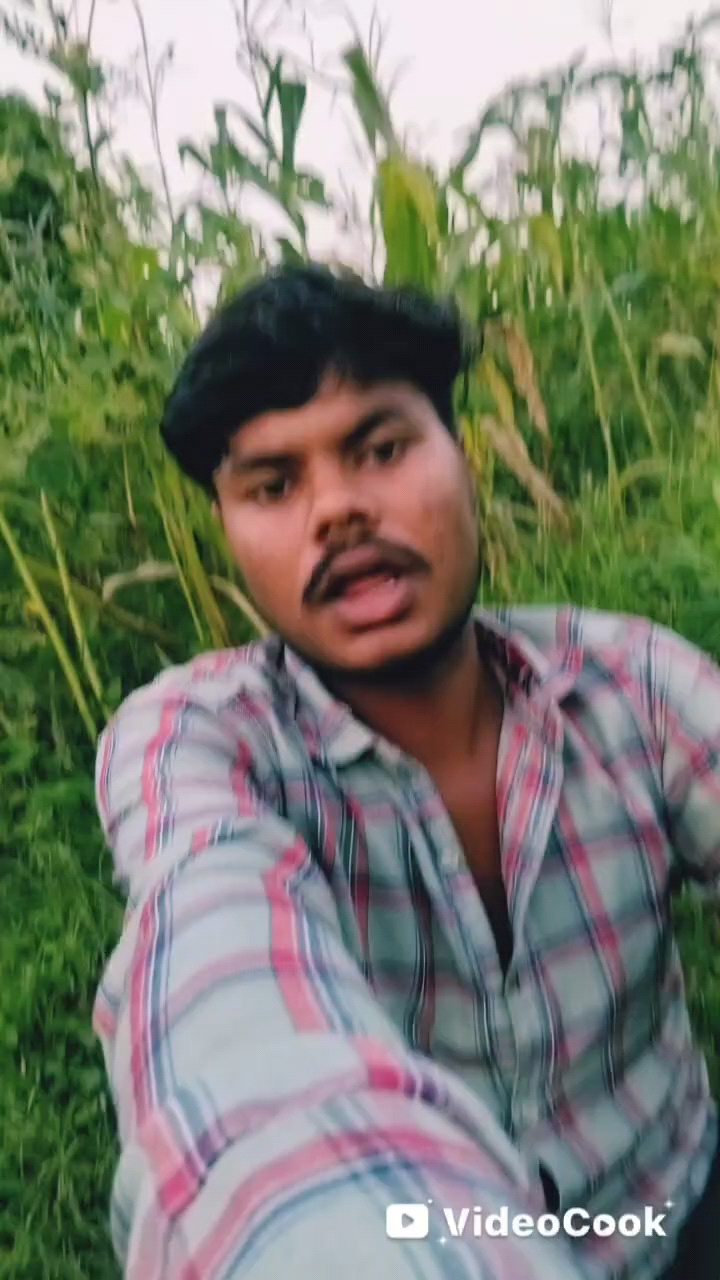 #यूट्यूबशॉर्ट्स #शॉर्ट्स #वायरल #ट्रेंडिंग #Shorts #YouTubeShorts #ViralShorts