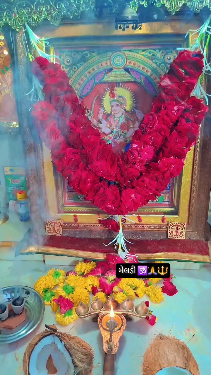 #શોટ વિડીયો