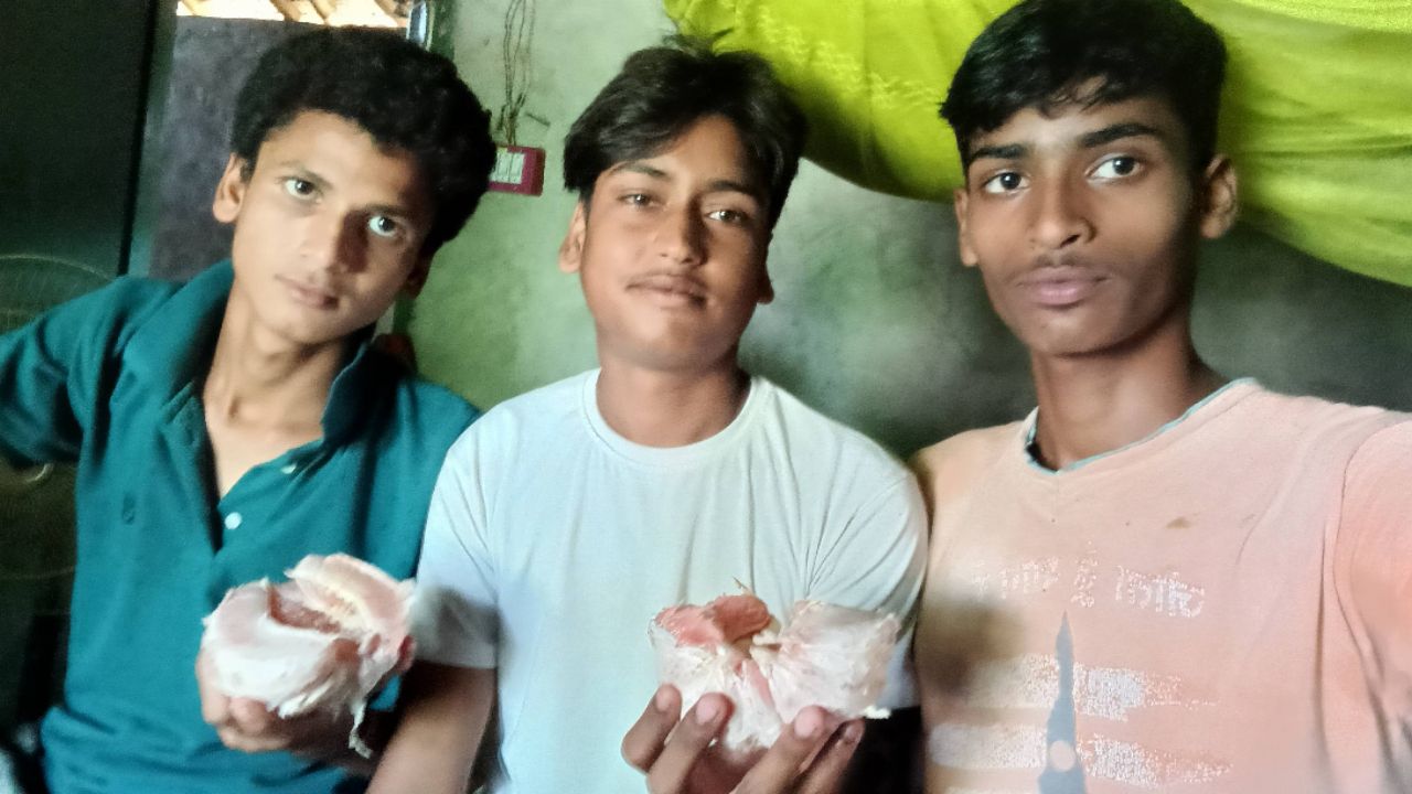 आज हम लोगों ने नींबू खाए हैं || desi vlog day 3