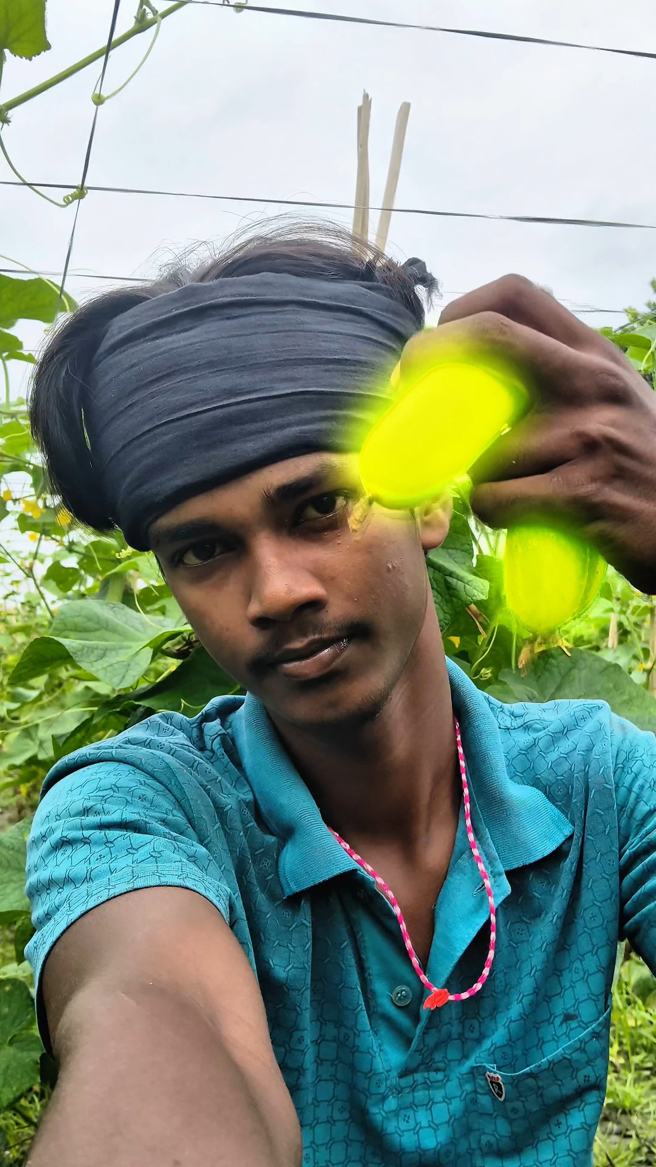 শশার তোলার প্রথম দিন কত টাকা ইনকাম হলো?? 🤔। #shorts #new #minivlog #Ankanlifestyle
