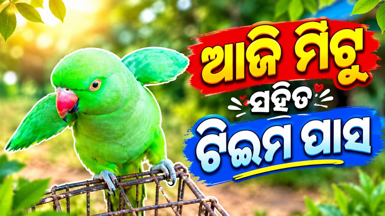 ଟାଇମ୍ ପାସ୍ ଆଜି ମିଟୁ ସହିତ ❤️