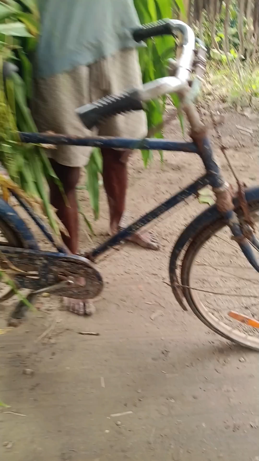 দেশ স্বাধীন করবে ভাই 👈🤔❓🇮🇳