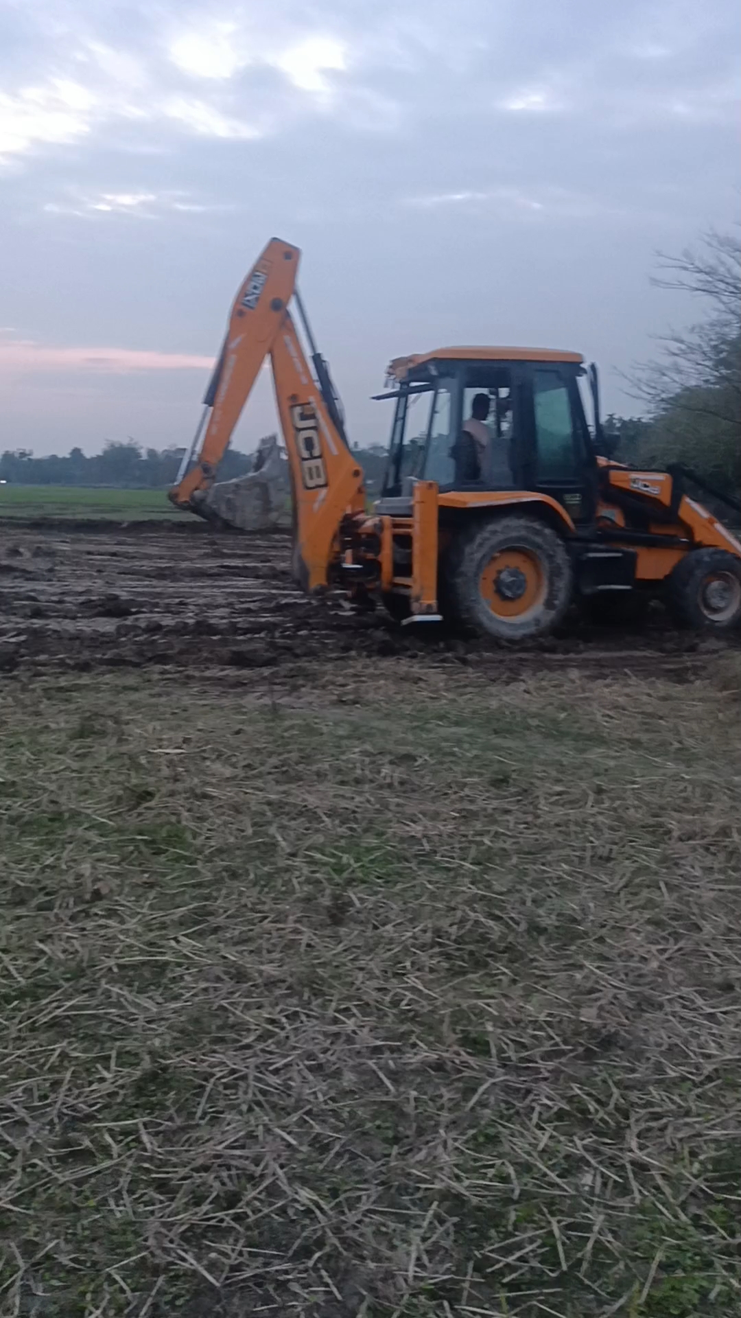 Our Paddy Field