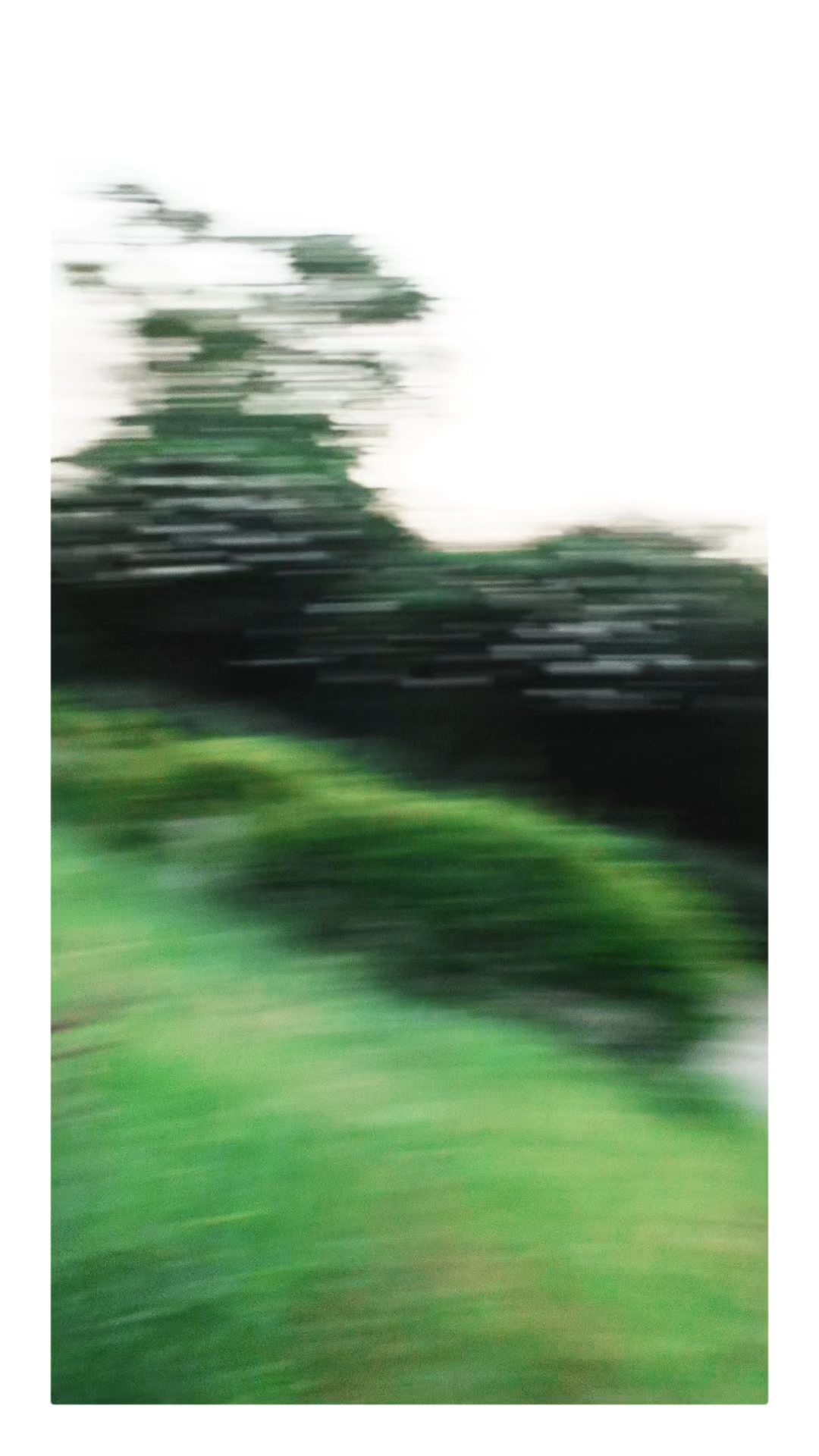 🥺🙏📌