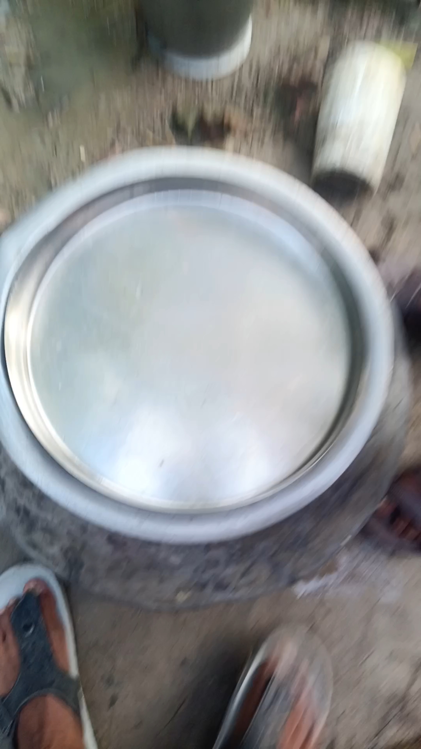 এত বড় হইতে এতগুলো মাছ