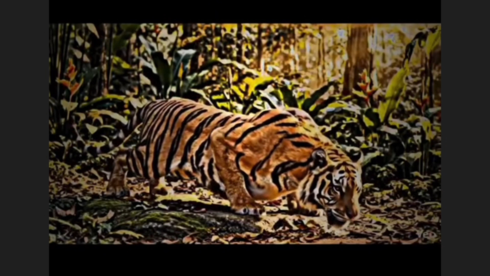 #Ankesh kumar
