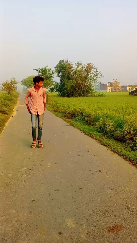 Viral editing