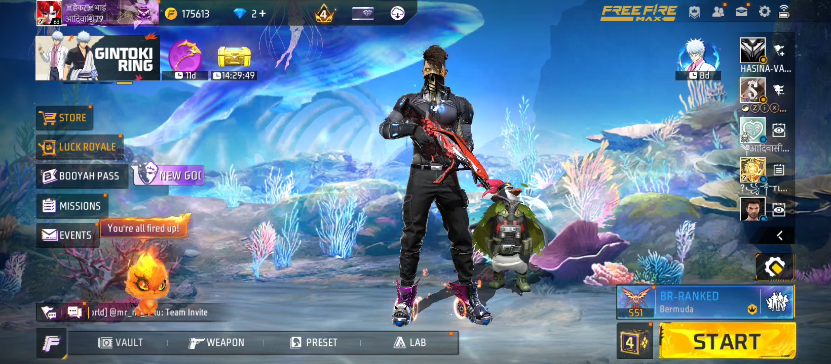 Free fire video