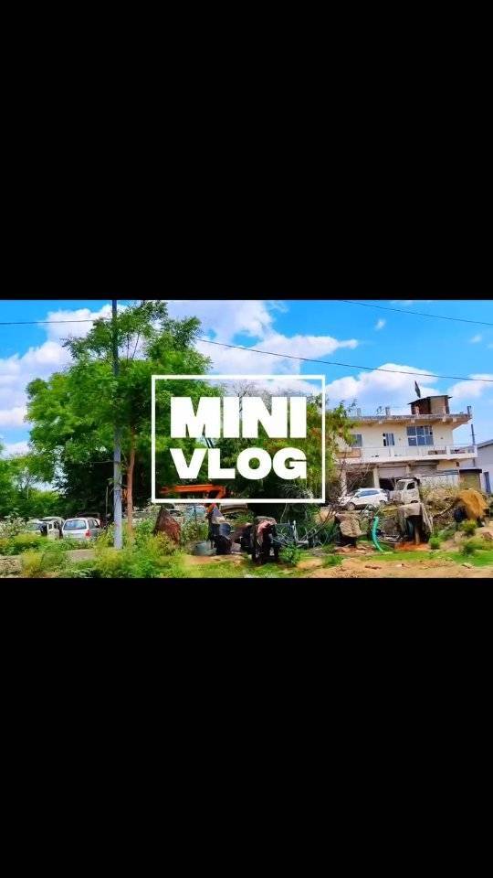 Mini Vlog