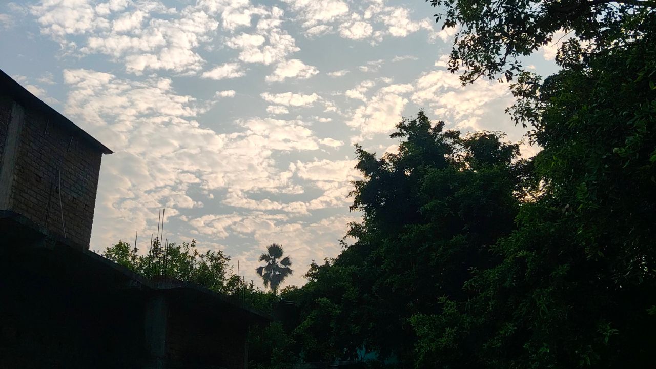 Nature view🌍🌿🌲 video