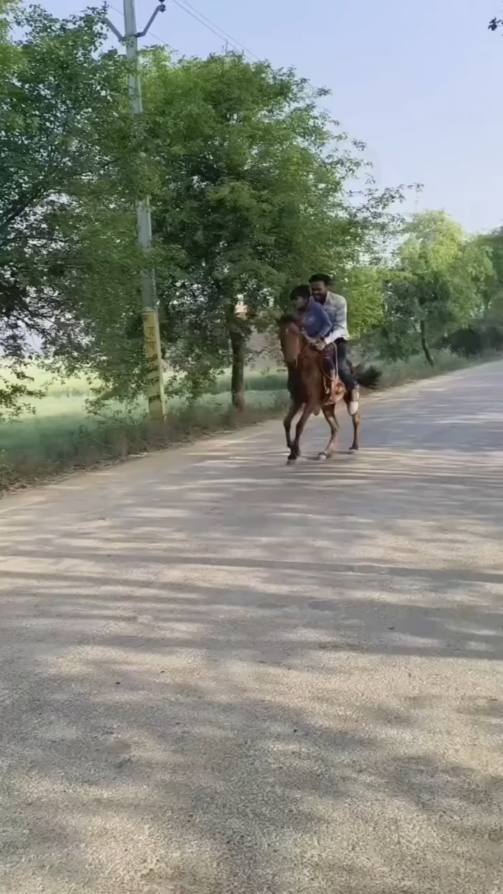 Funney video