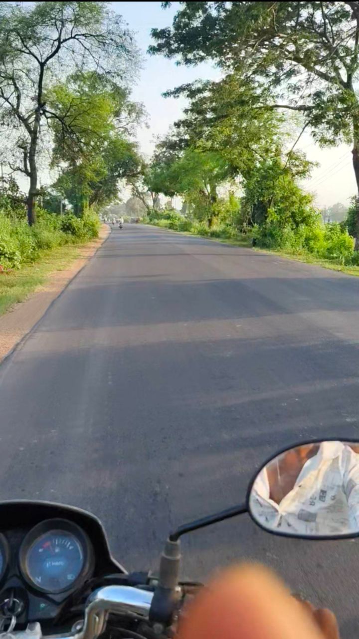 “शाम 4 बजे प्रकृति का जादुई नज़ारा 🌿✨#bideo#short#trending#nature#