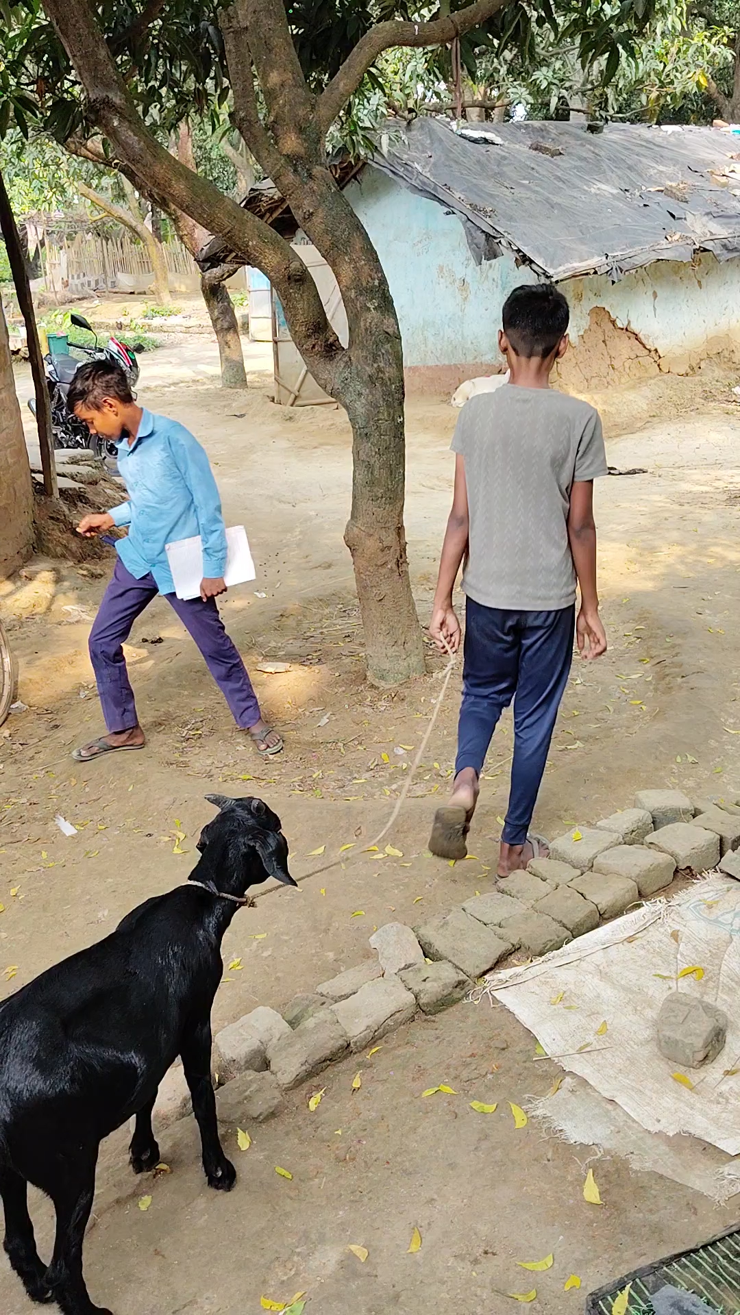 Papa pasaa दीजिये मेला देखने  जाऐंग wala Fani shorts video