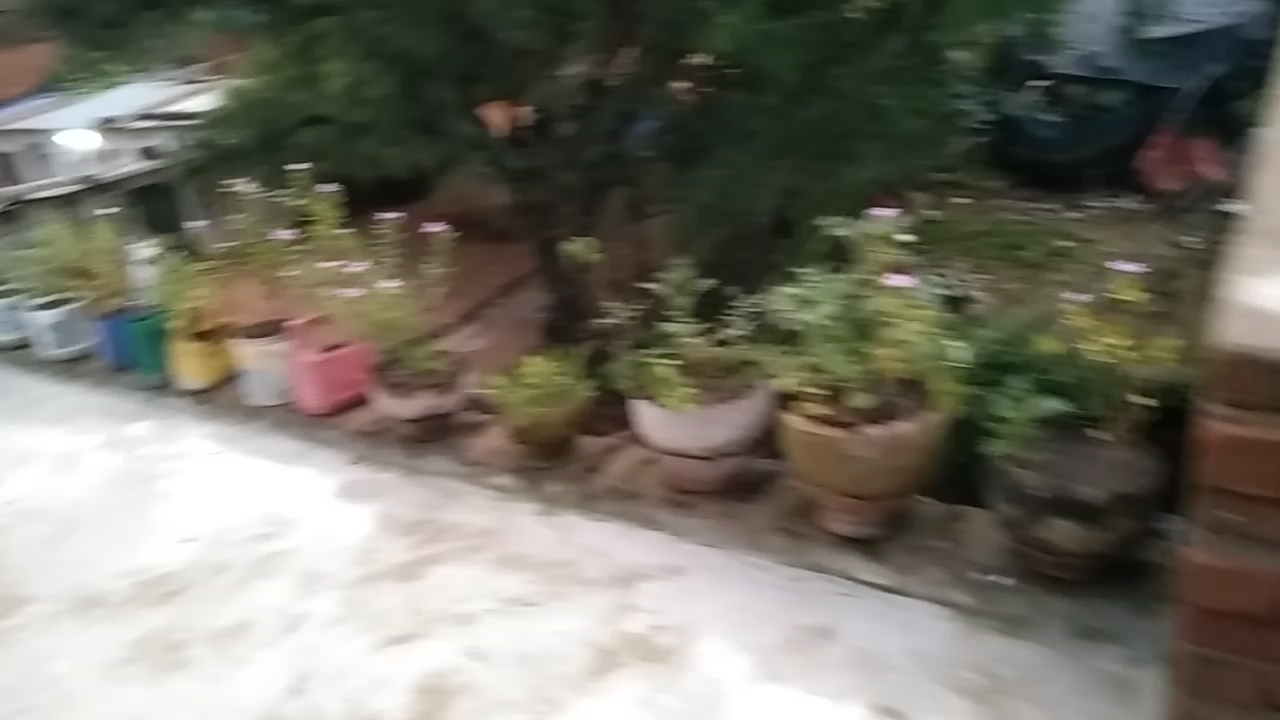 Ghar