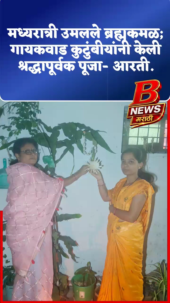 मध्यरात्री उमलले ब्रह्मकमळ; गायकवाड कुटुंबीयांनी केली श्रद्धापूर्वक पूजा- आरती