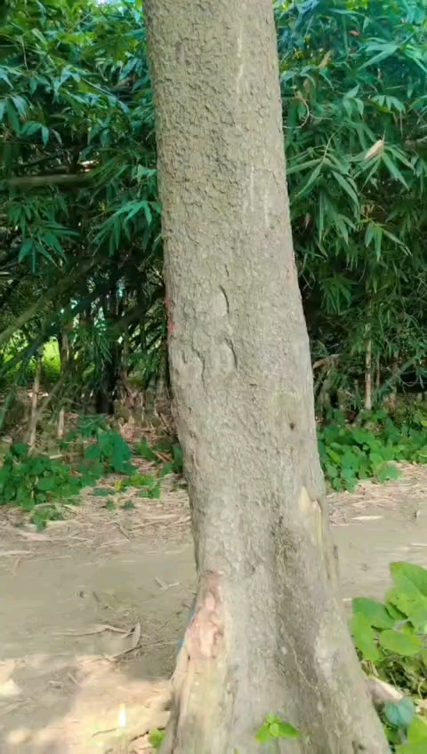 🔥 ये क्या देख लिया भाई 😂 | Comedy का अलग ही Level 🤣