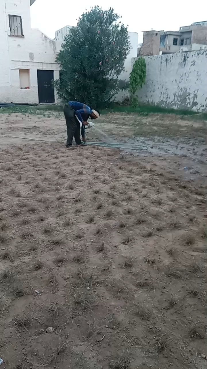#virl#short#video
