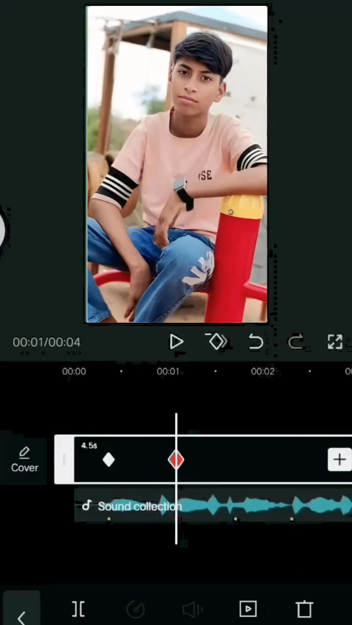 Dikha do India walon India kya hai yah India ka apna app hai