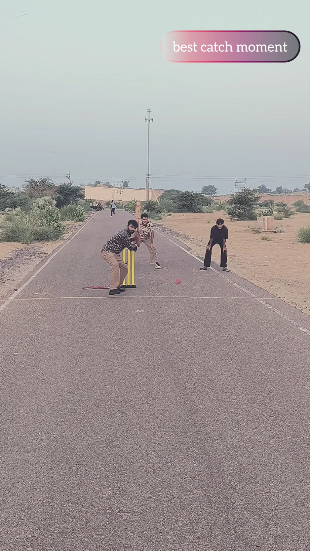 Best cricket video