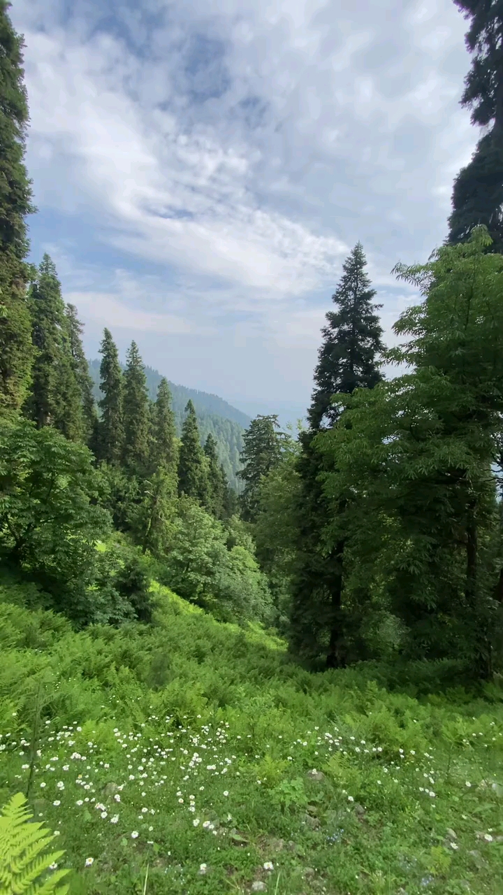 Beautiful Nature View #nature