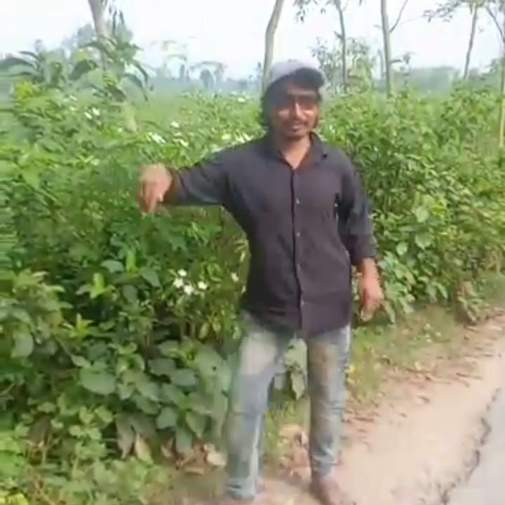 HD Dancer on Bideo