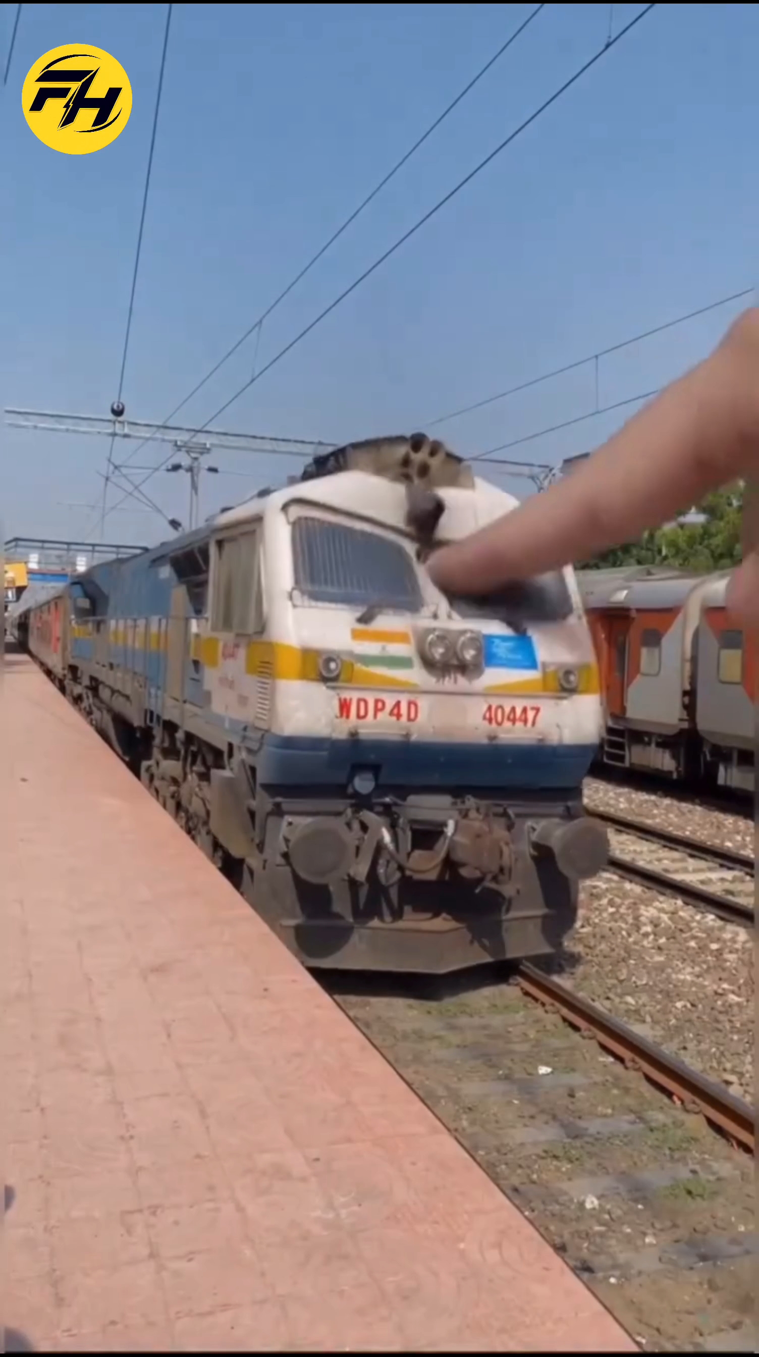 Do You Know Why There Is Sand on Trains 🚆🤔