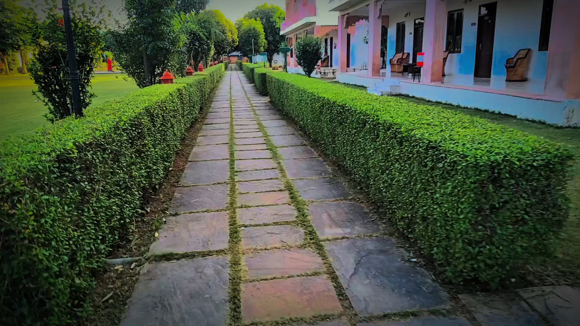 Dekho dosto 🌺🌿🌿 hotel ki gallery kitni acchi hai bhai iske agal Bagal mein Dekho Kya mast laga ra