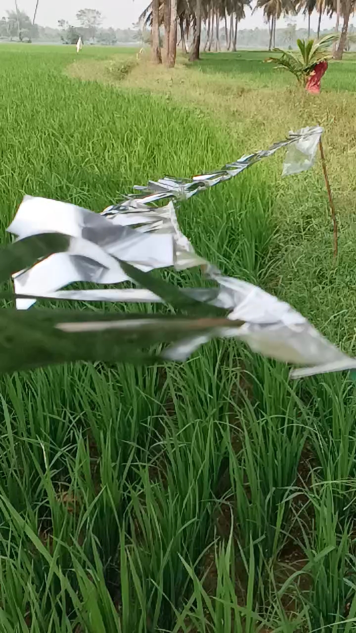 ☔