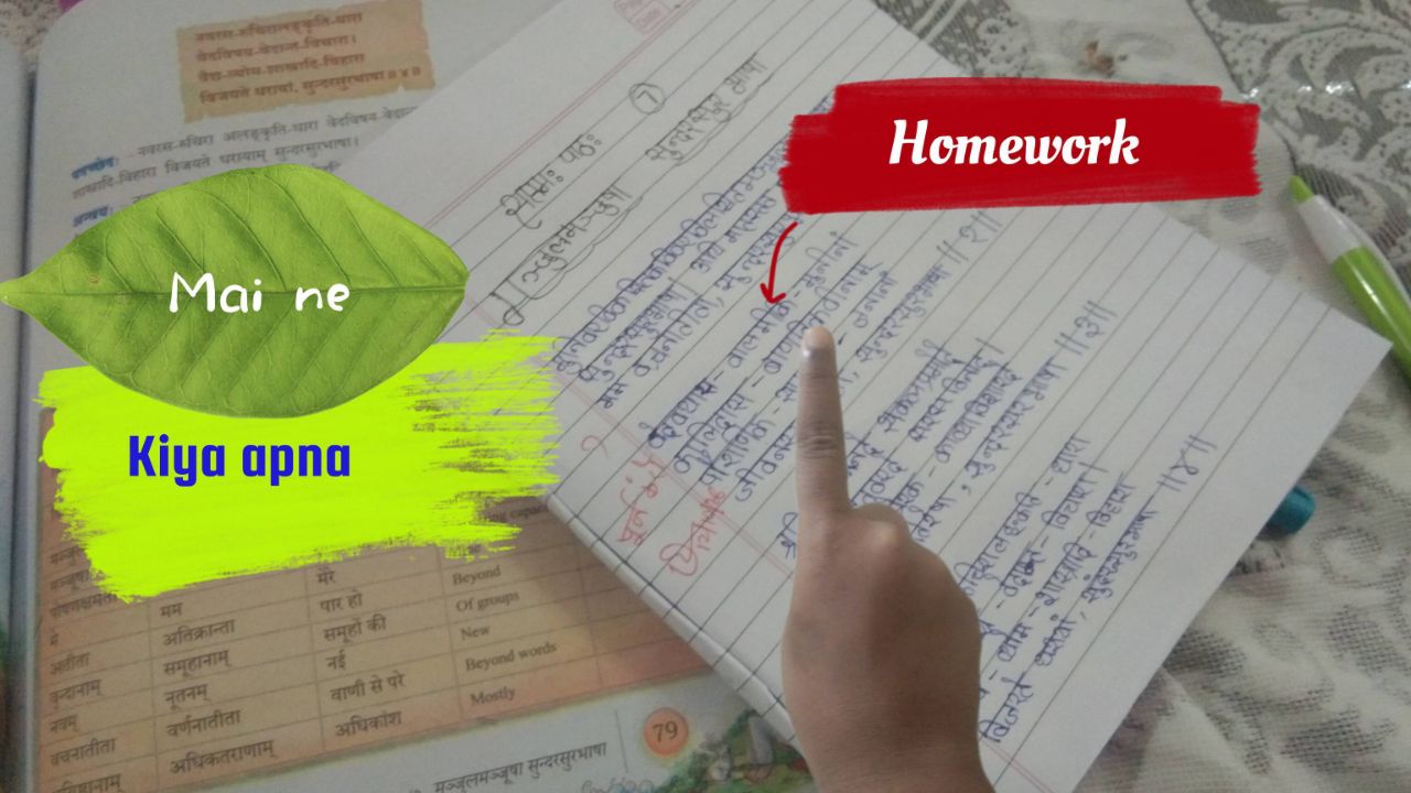 #Bideo Maine kiya apna homework