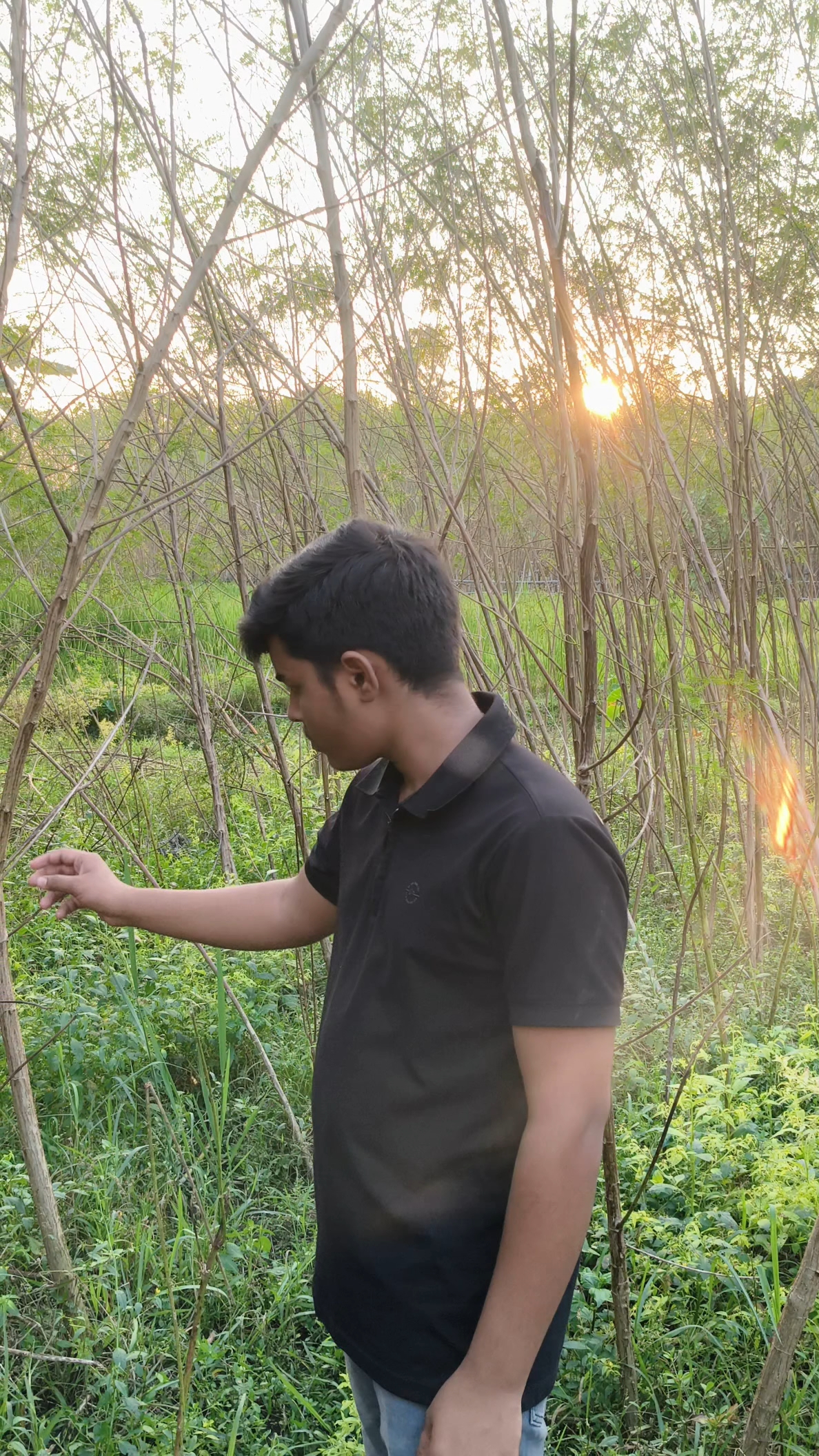 जैसे वो काट कर गई