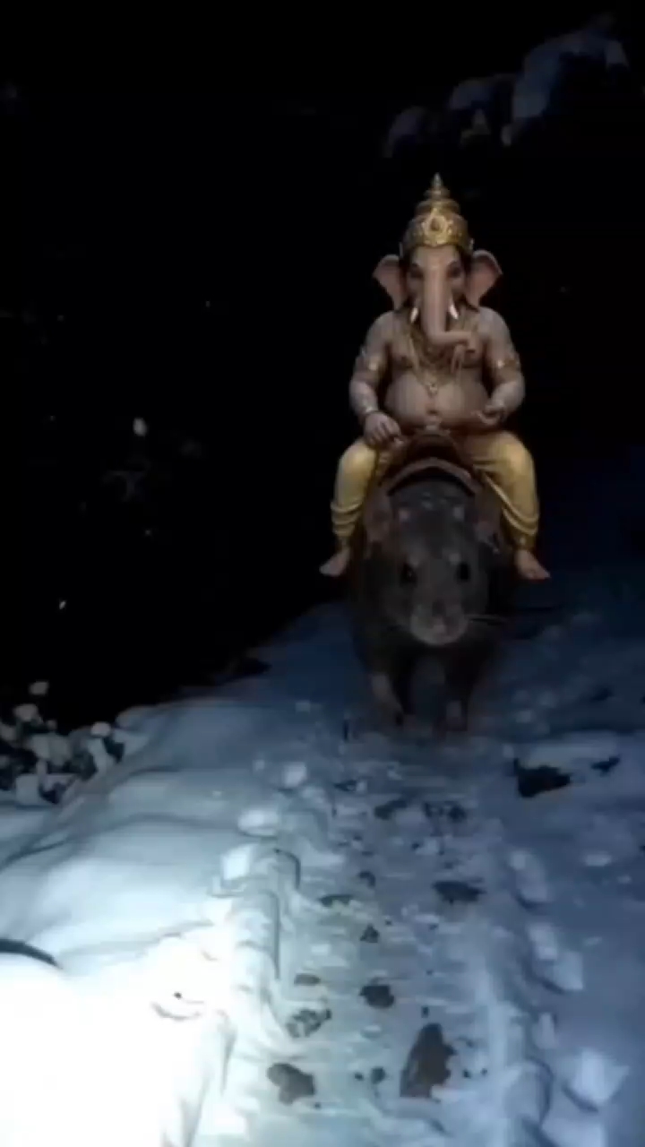 Ganesh ji ki anokhi moortiyan